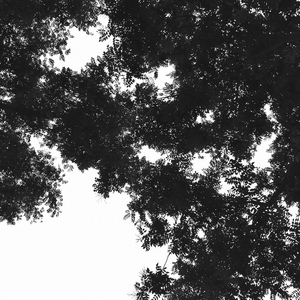 亚洲色图校园激情
